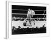 Max Baer Knocked Down During a Heavyweight Fight with Joe Louis, Sept. 24, 1935-null-Framed Photo