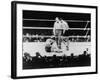 Max Baer Knocked Down During a Heavyweight Fight with Joe Louis, Sept. 24, 1935-null-Framed Photo