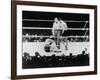 Max Baer Knocked Down During a Heavyweight Fight with Joe Louis, Sept. 24, 1935-null-Framed Photo