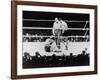 Max Baer Knocked Down During a Heavyweight Fight with Joe Louis, Sept. 24, 1935-null-Framed Photo