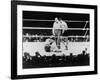 Max Baer Knocked Down During a Heavyweight Fight with Joe Louis, Sept. 24, 1935-null-Framed Photo