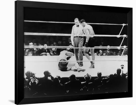 Max Baer Knocked Down During a Heavyweight Fight with Joe Louis, Sept. 24, 1935-null-Framed Photo