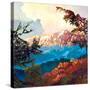 Stretched Canvas