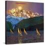 Stretched Canvas