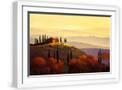 White Frame