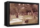 Canvas Black