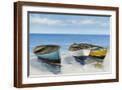 Brown Frame