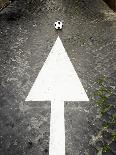 This Way to Soccer-Max Power-Mounted Photographic Print