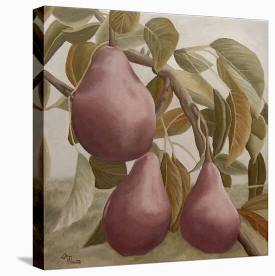 Max Red Bartlett Pears-Angeles M Pomata-Stretched Canvas