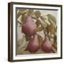 Max Red Bartlett Pears-Angeles M Pomata-Framed Giclee Print