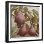 Max Red Bartlett Pears-Angeles M Pomata-Framed Giclee Print