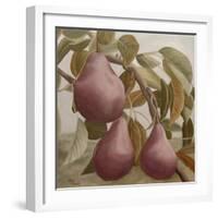 Max Red Bartlett Pears-Angeles M Pomata-Framed Giclee Print
