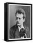 Max Reger German Composer-null-Framed Stretched Canvas