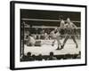 Max Schmeling on the Floor for a Count of Nine in His Match with Max Baer-null-Framed Photo