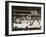 Max Schmeling on the Floor for a Count of Nine in His Match with Max Baer-null-Framed Photo