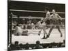 Max Schmeling on the Floor for a Count of Nine in His Match with Max Baer-null-Mounted Photo