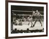 Max Schmeling on the Floor for a Count of Nine in His Match with Max Baer-null-Framed Photo