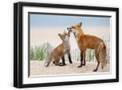 Black Frame