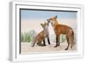 White Frame