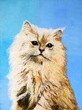 Oil Painting - Drawing of a Cat, Colorful Picture-Max5799-Framed Photographic Print