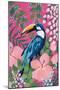 Maximalist Toucan-Yvette St. Amant-Mounted Art Print