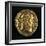 Maximian Hercules Aureus Bearing Head of Maximian, Roman Coins AD-null-Framed Giclee Print