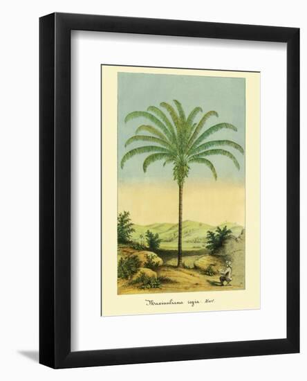 Maximiliana Palm Tree, Botanical Illustration, c.1854-Ch^ Lemaire-Framed Art Print