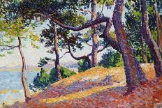 Landscape in Saint-Tropez, 1892-Maximilien Luce-Giclee Print