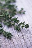 Sprigs of Thyme-Maxine Adcock-Photographic Print