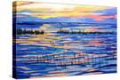Stretched Canvas