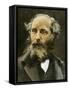 Maxwell, James Clerk (1831- 1879). Scottish Physicist-null-Framed Stretched Canvas