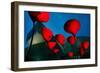 Maxxi Museum-Fulvio Pellegrini-Framed Photographic Print