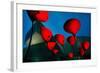 Maxxi Museum-Fulvio Pellegrini-Framed Photographic Print