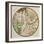 May, 1899 (Detail)-Alphonse Mucha-Framed Giclee Print