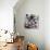 May, 1968-Joan Miro-Giclee Print displayed on a wall