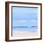 Brown Frame