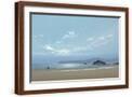 Brown Frame