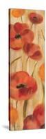 May Floral Panel I-Silvia Vassileva-Stretched Canvas