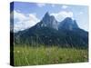 May Flowers and Mount Sciliar (Sclern), Dolomites, Trentino-Alto Adige (South Tirol), Italy-Richard Ashworth-Stretched Canvas