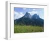 May Flowers and Mount Sciliar (Sclern), Dolomites, Trentino-Alto Adige (South Tirol), Italy-Richard Ashworth-Framed Photographic Print