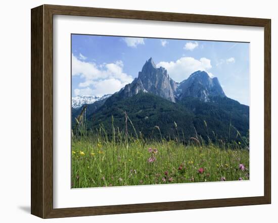 May Flowers and Mount Sciliar (Sclern), Dolomites, Trentino-Alto Adige (South Tirol), Italy-Richard Ashworth-Framed Photographic Print