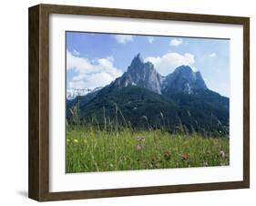 May Flowers and Mount Sciliar (Sclern), Dolomites, Trentino-Alto Adige (South Tirol), Italy-Richard Ashworth-Framed Photographic Print