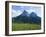 May Flowers and Mount Sciliar (Sclern), Dolomites, Trentino-Alto Adige (South Tirol), Italy-Richard Ashworth-Framed Photographic Print