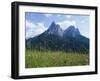 May Flowers and Mount Sciliar (Sclern), Dolomites, Trentino-Alto Adige (South Tirol), Italy-Richard Ashworth-Framed Photographic Print