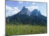 May Flowers and Mount Sciliar (Sclern), Dolomites, Trentino-Alto Adige (South Tirol), Italy-Richard Ashworth-Mounted Photographic Print