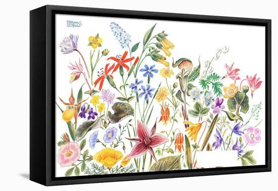 May Flowers - Jack & Jill-Frank Dobias-Framed Stretched Canvas
