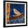 May Fly, 1991-Peter Wilson-Framed Giclee Print