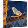 May Fly, 1991-Peter Wilson-Mounted Giclee Print