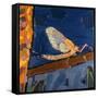 May Fly, 1991-Peter Wilson-Framed Stretched Canvas