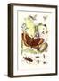 May-Fly, Brimstone Butterfly, Musk Beetle, Nut Weevil-James Sowerby-Framed Art Print